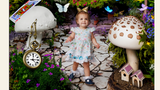 WONDERLAND