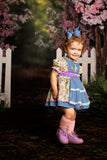BLUE HEELER DRESS